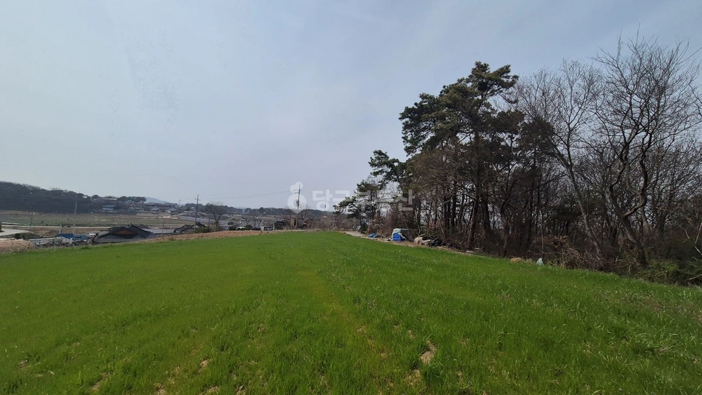 전북특별자치도 정읍시 감곡면 토지 사진 1
