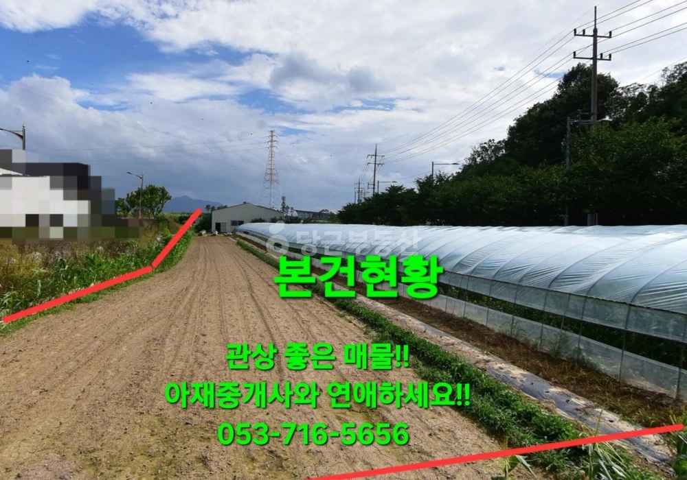 대구광역시 달성군 다사읍 토지 사진 1