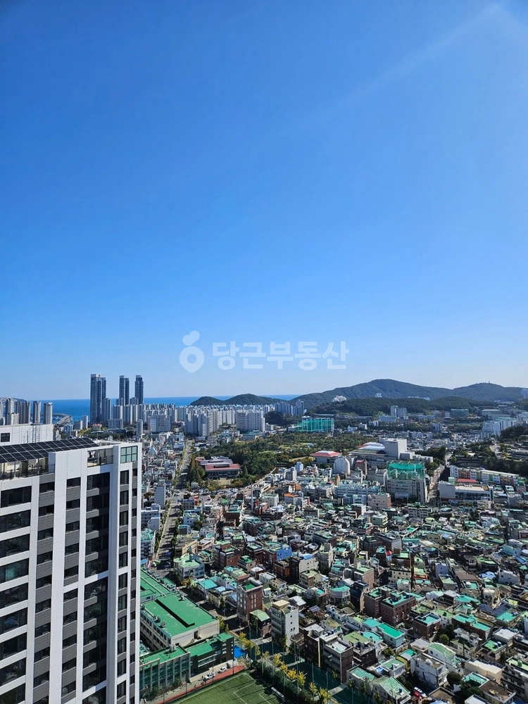 부산광역시 남구 대연동 아파트 사진 1