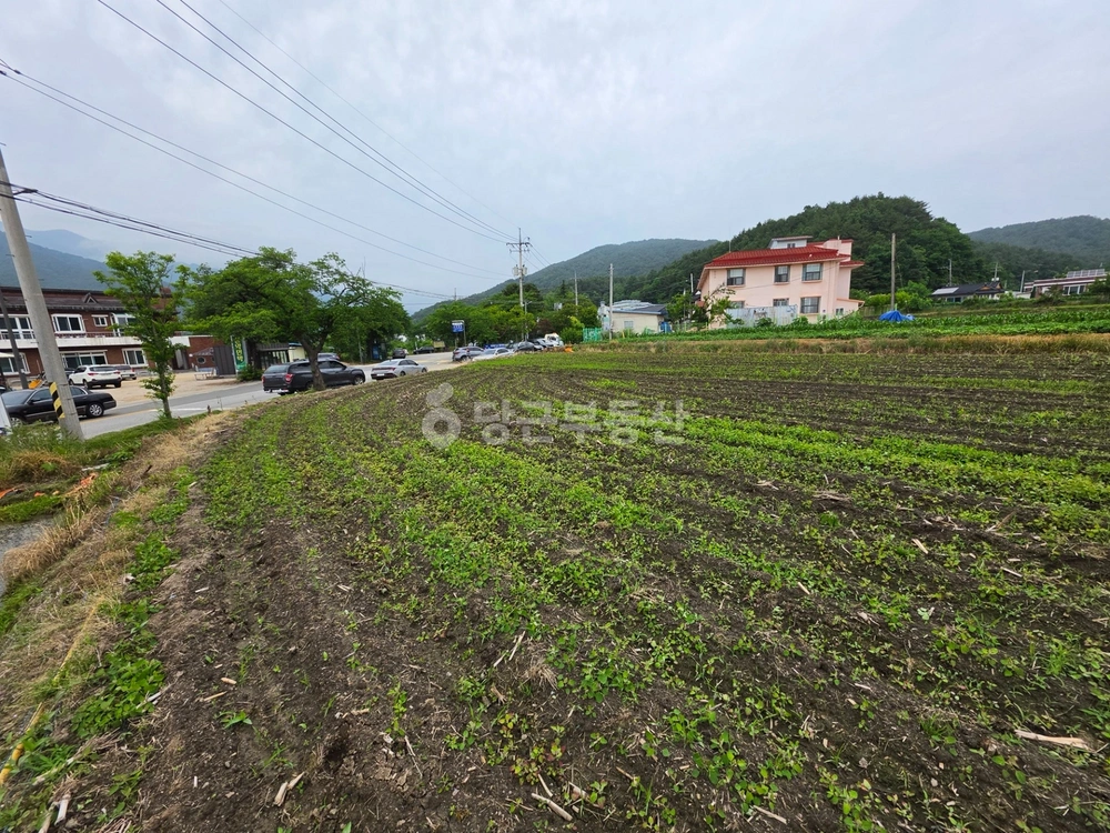 강원특별자치도 속초시 도문동 토지 사진 1