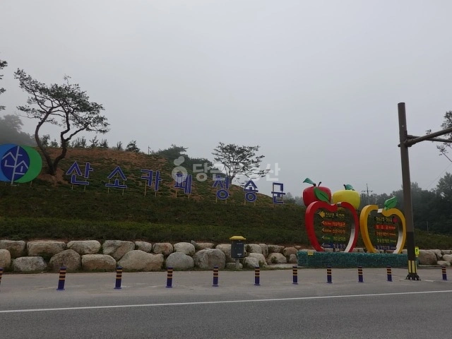 경상북도 청송군 안덕면 토지 사진 1