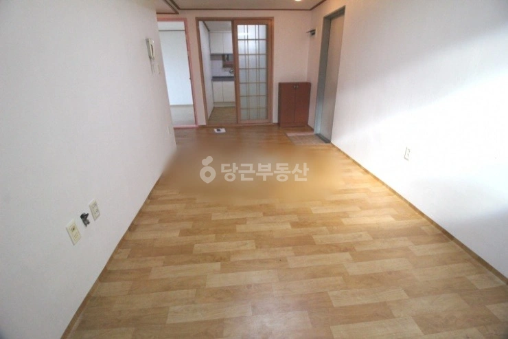 대전광역시 유성구 장대동 빌라(투룸 이상) 사진 1