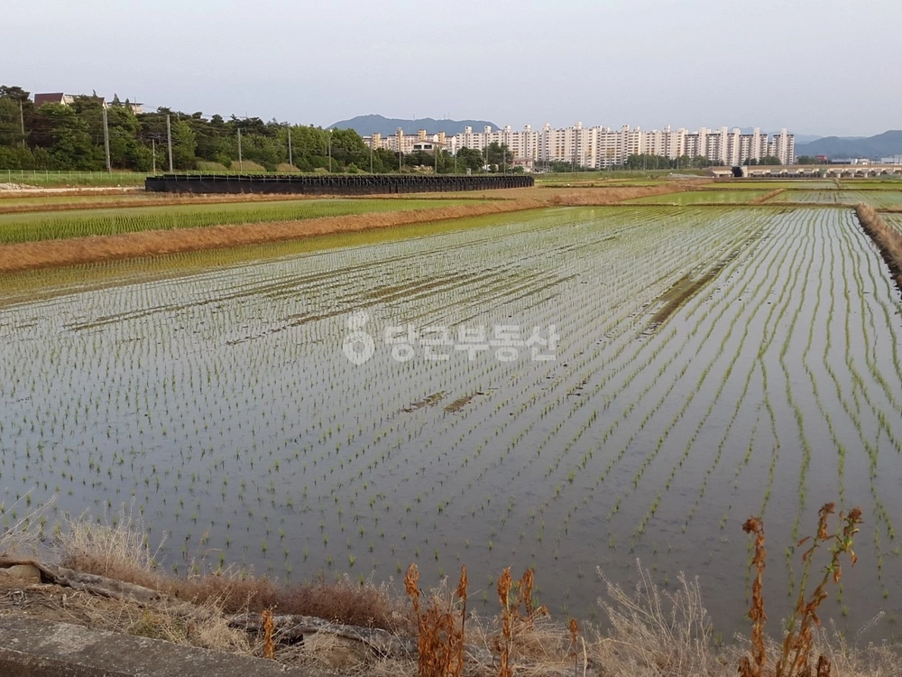 충청북도 충주시 금릉동 토지 사진 1