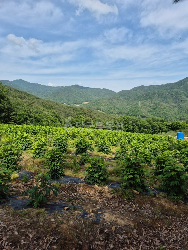 경상북도 문경시 산북면 토지 사진 1