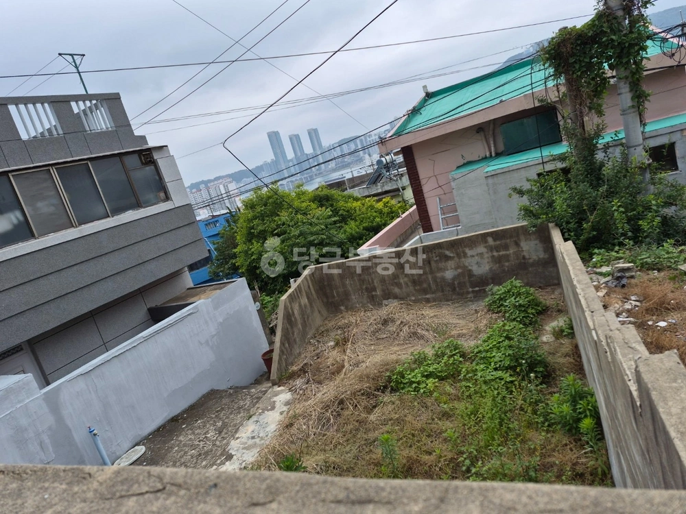 부산광역시 영도구 신선동2가 토지 사진 1