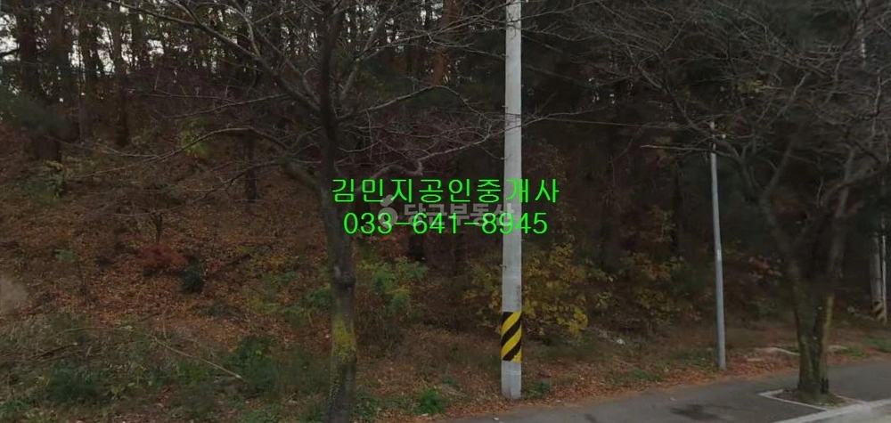 강원특별자치도 강릉시 노암동 토지 사진 1