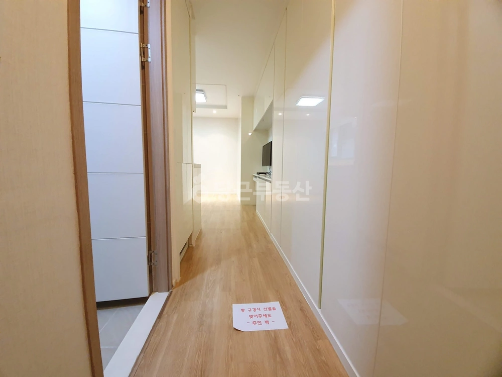 대전광역시 서구 둔산동 원룸 사진 1