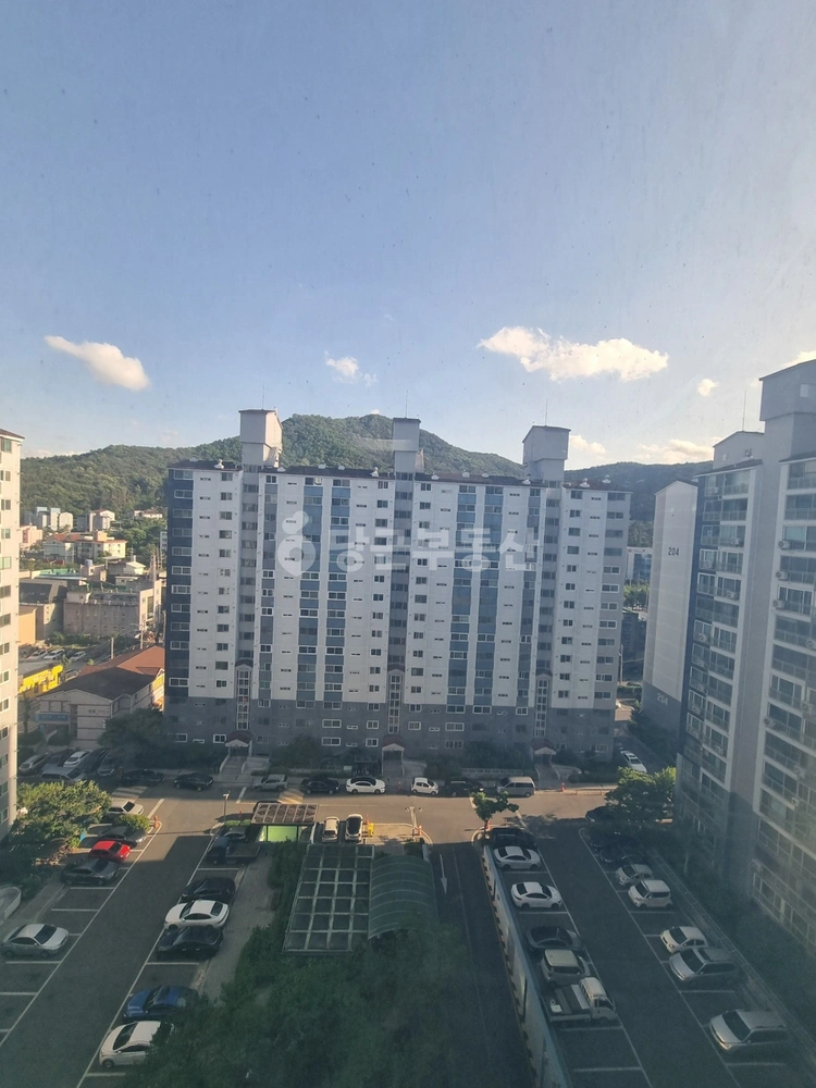 경상북도 경주시 충효동 아파트 사진 1