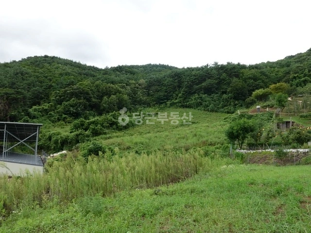 경상북도 영덕군 창수면 토지 사진 1