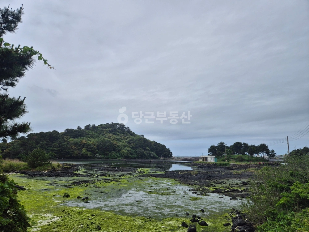 제주특별자치도 서귀포시 성산읍 토지 사진 1
