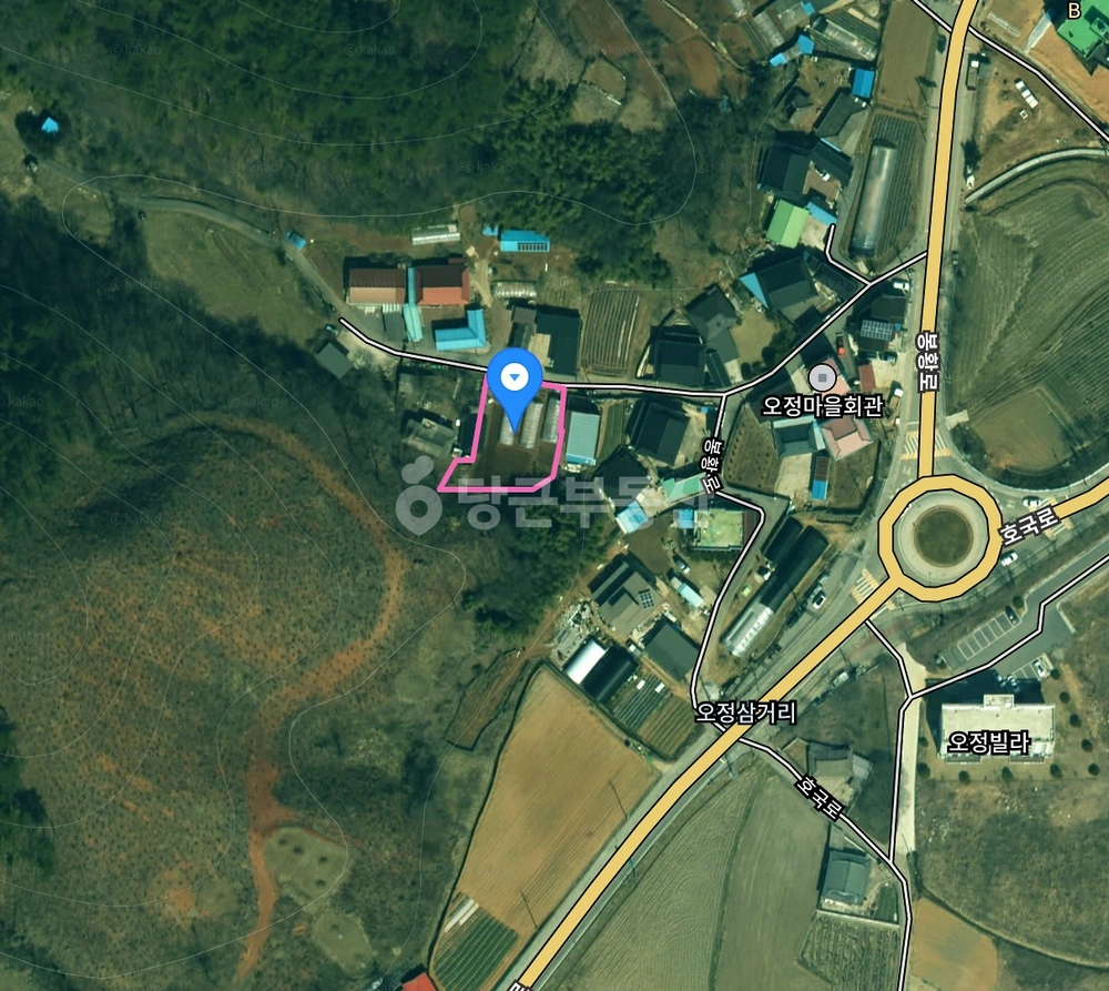 전북특별자치도 임실군 임실읍 토지 사진 1