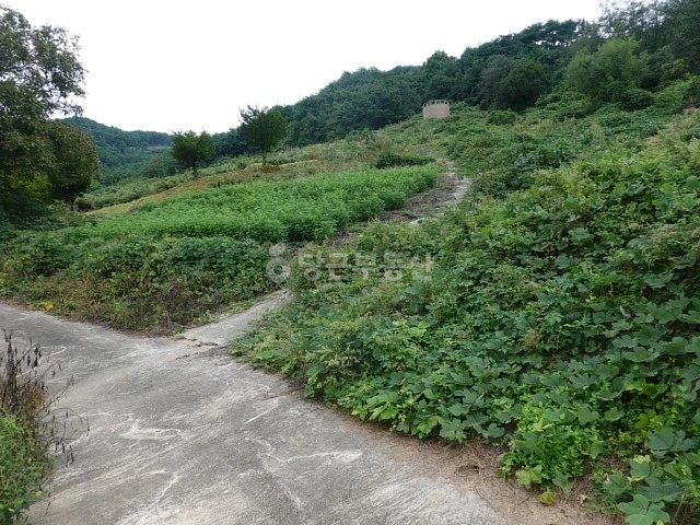 경상북도 영양군 영양읍 토지 사진 1