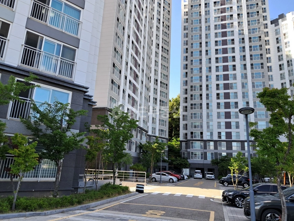 강원특별자치도 강릉시 교동 아파트 사진 1