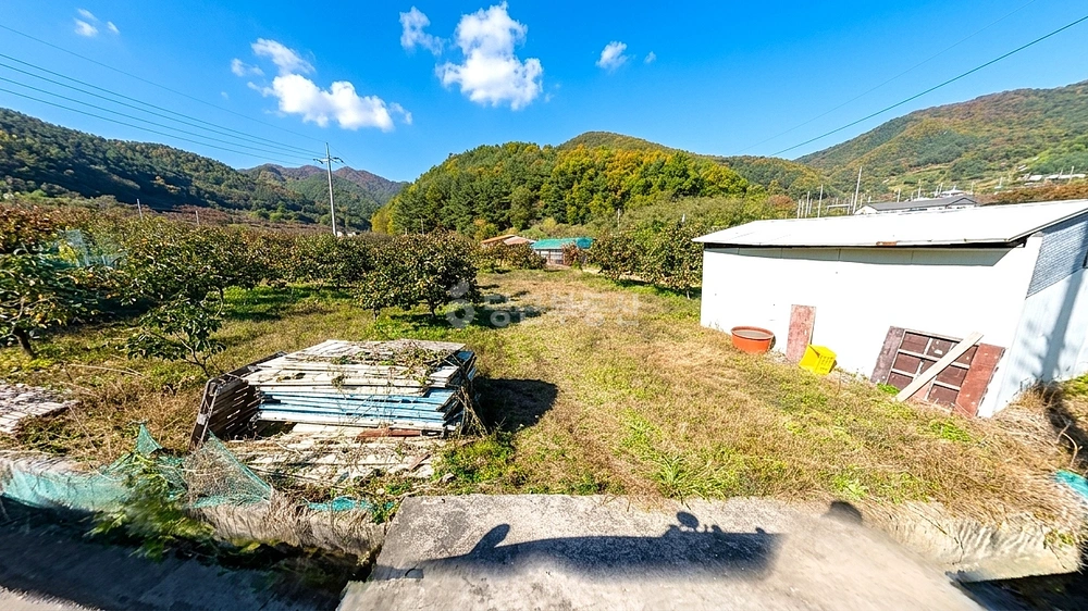 경상북도 청도군 매전면 토지 사진 1