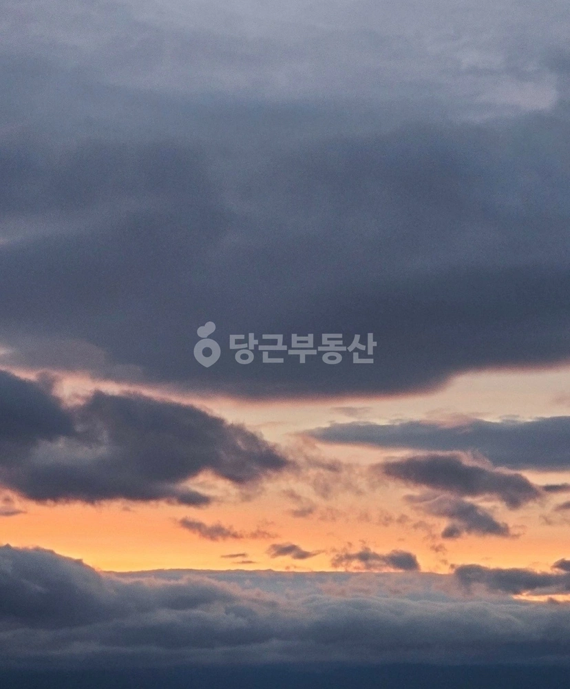 경상북도 포항시 남구 동해면 토지 사진 1