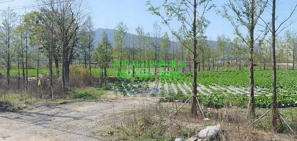 강원특별자치도 강릉시 장현동 토지 사진 1