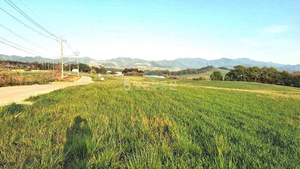 충청남도 서산시 운산면 토지 사진 1