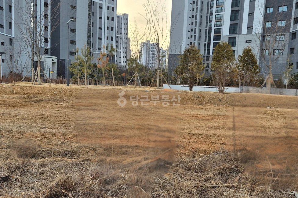 경기도 파주시 동패동 토지 사진 1