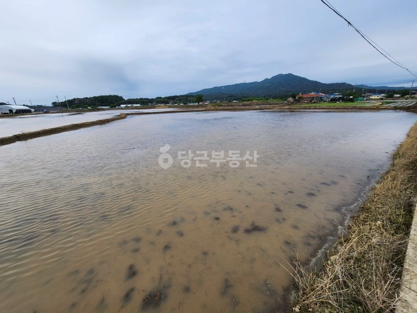 전북특별자치도 익산시 금마면 토지 사진 1