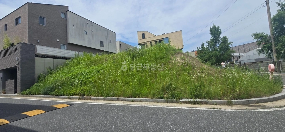 대전광역시 유성구 상대동 토지 사진 1
