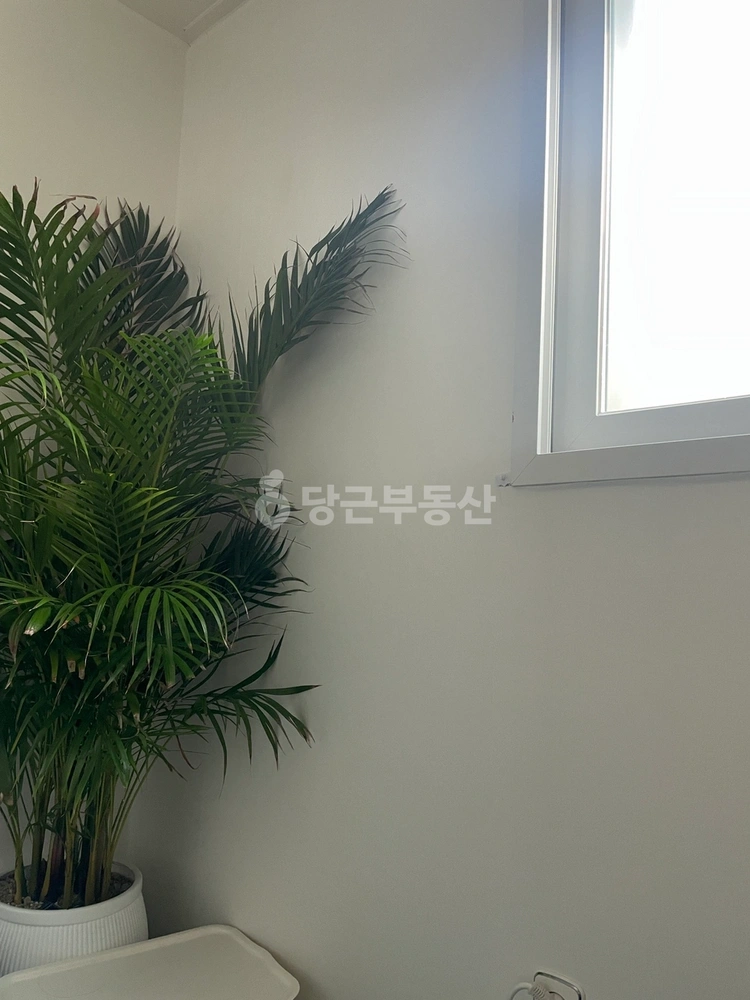 서울특별시 관악구 봉천동 원룸 사진 1