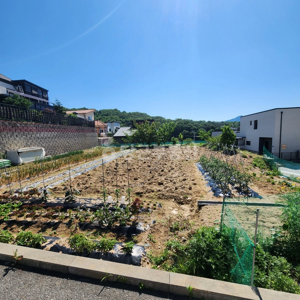 충청남도 아산시 신인동 토지 사진 1