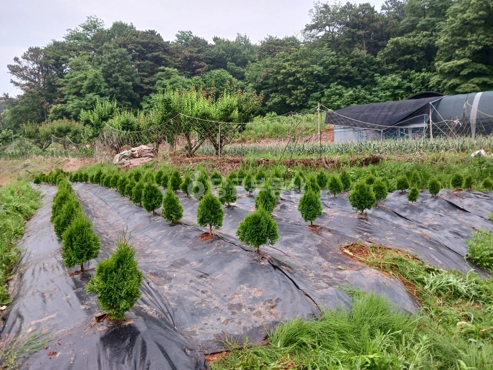 세종특별자치시 연동면 토지 사진 1