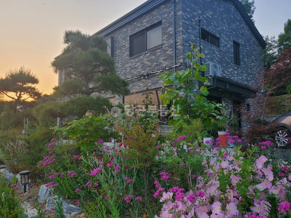 충청남도 아산시 송악면 단독/전원주택 사진 1