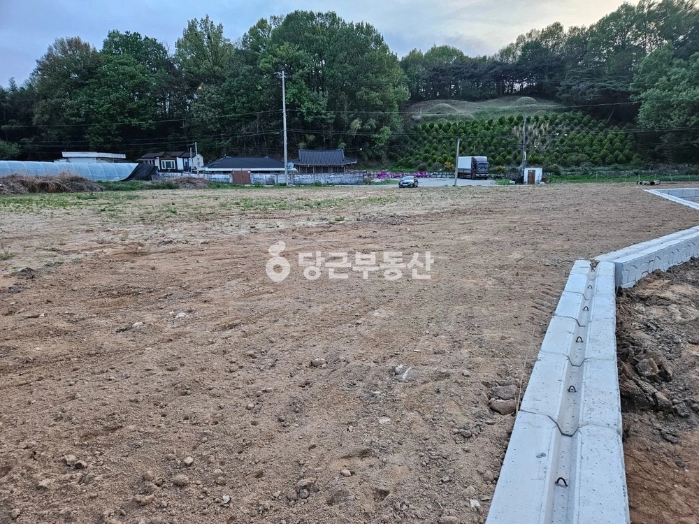 전북특별자치도 전주시 덕진구 금상동 토지 사진 1