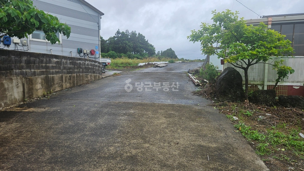 제주특별자치도 제주시 조천읍 토지 사진 1