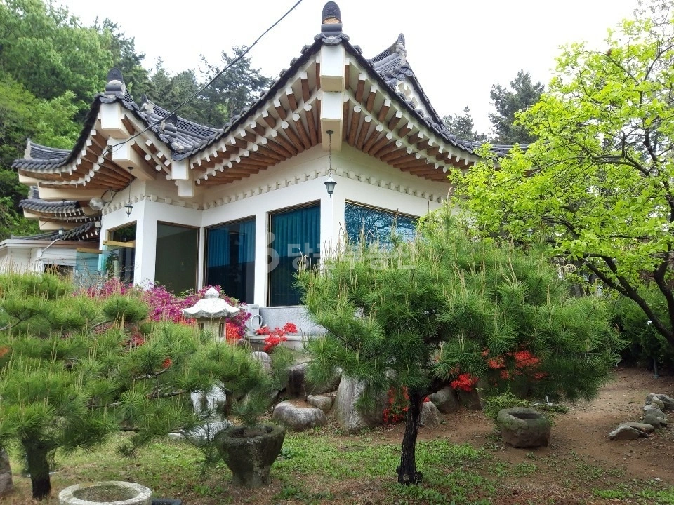 경상북도 경주시 동천동 상가 사진 1
