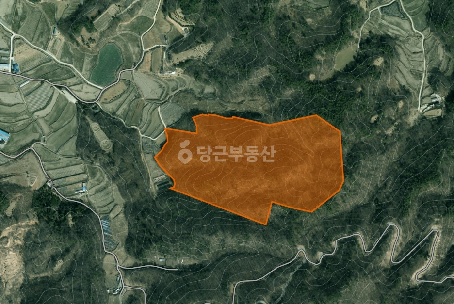 세종특별자치시 전의면 토지 사진 1