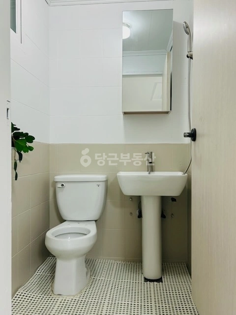 경기도 수원시 장안구 정자동 원룸 사진 1