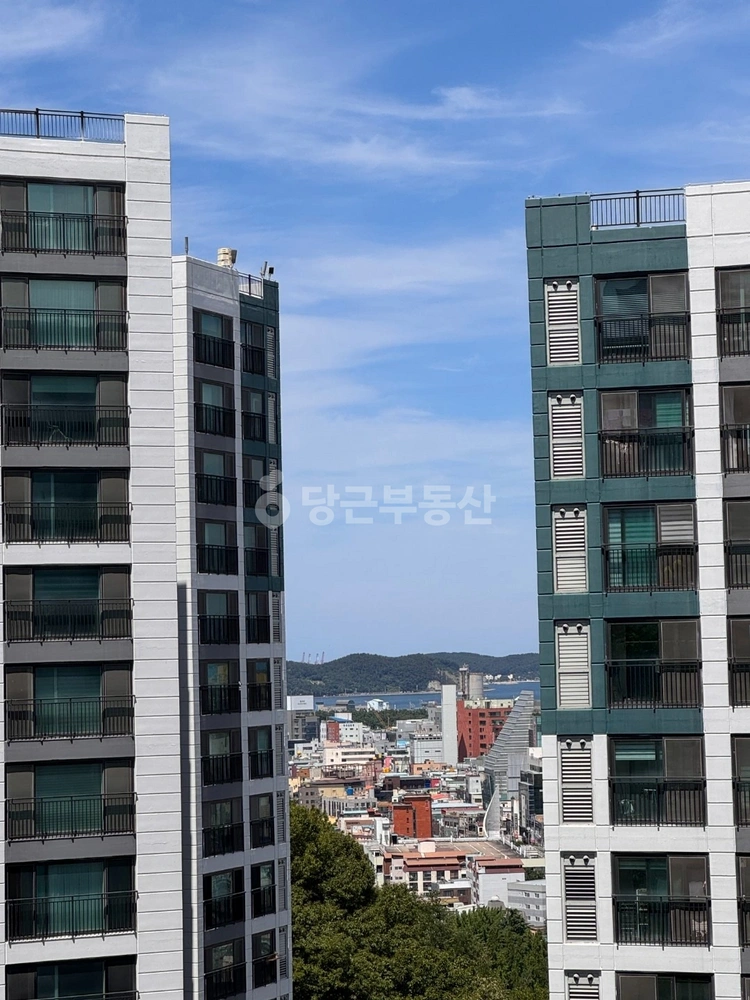 경상북도 포항시 북구 용흥동 아파트 사진 1