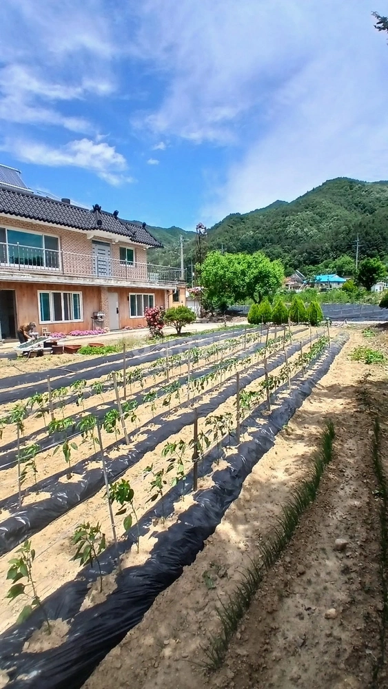 전북특별자치도 무주군 설천면 단독/전원주택 사진 1