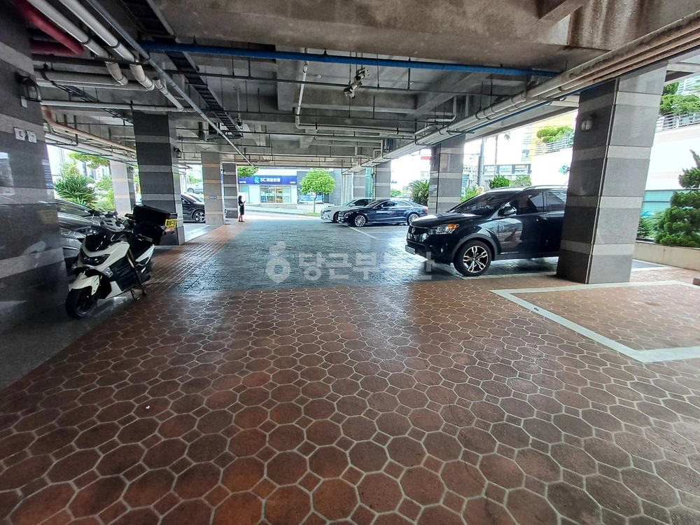 제주특별자치도 제주시 노형동 오피스텔 사진 1