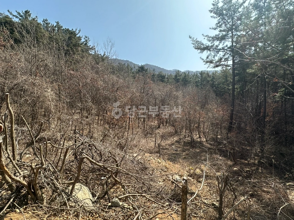 충청남도 논산시 상월면 토지 사진 1