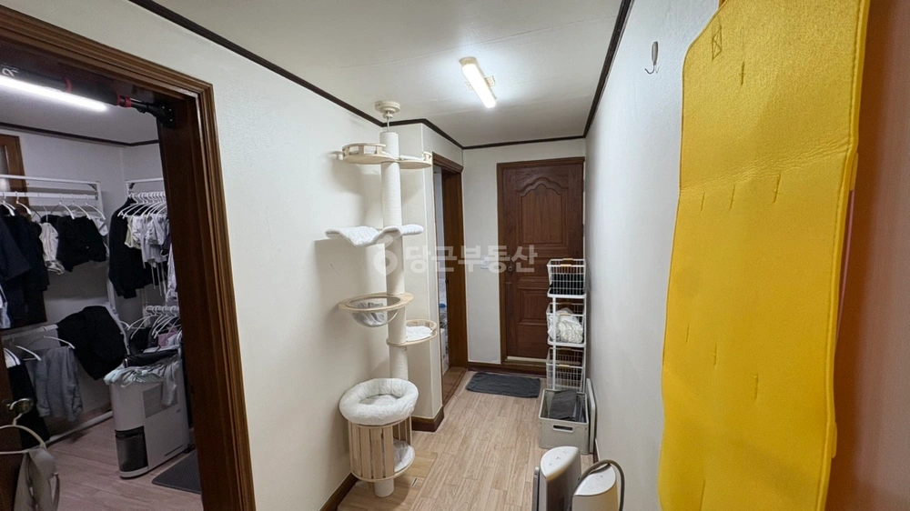 서울특별시 성북구 석관동 빌라(투룸 이상) 사진 1