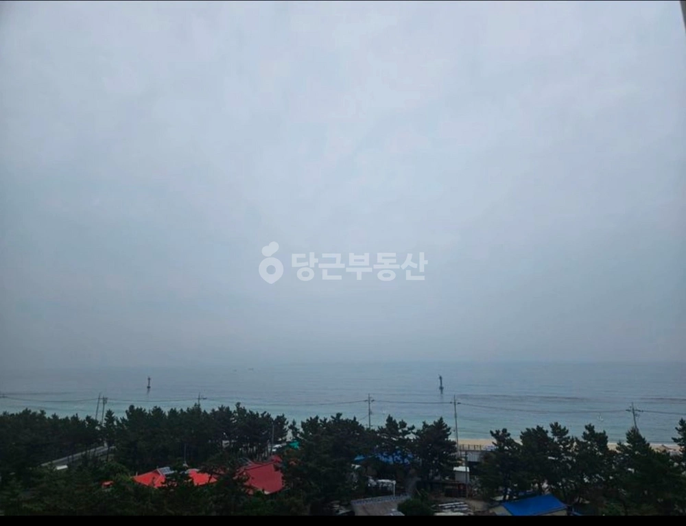 강원특별자치도 강릉시 연곡면 아파트 사진 1