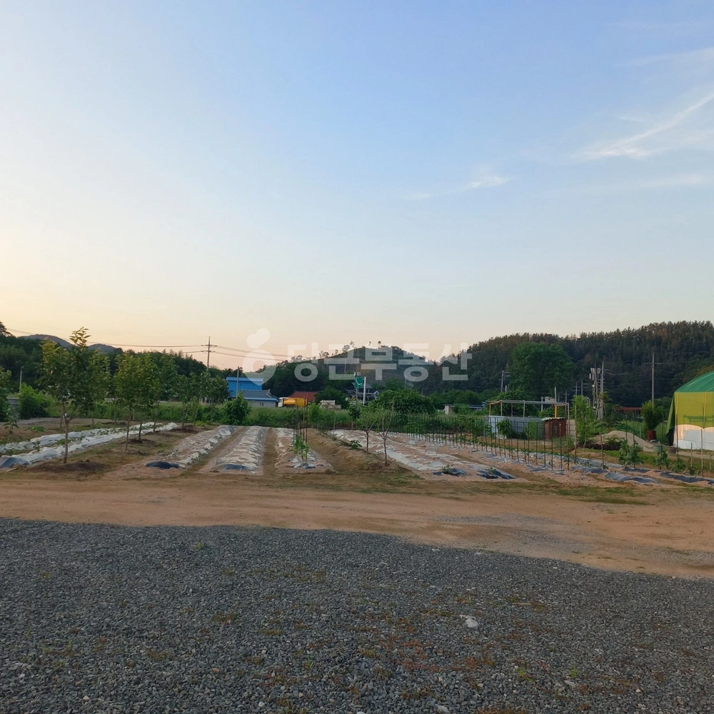 경상남도 함안군 대산면 토지 사진 1