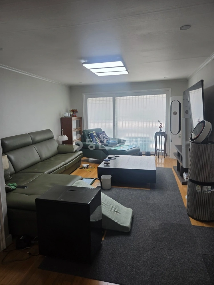 경기도 성남시 분당구 분당동 단독/전원주택 사진 1