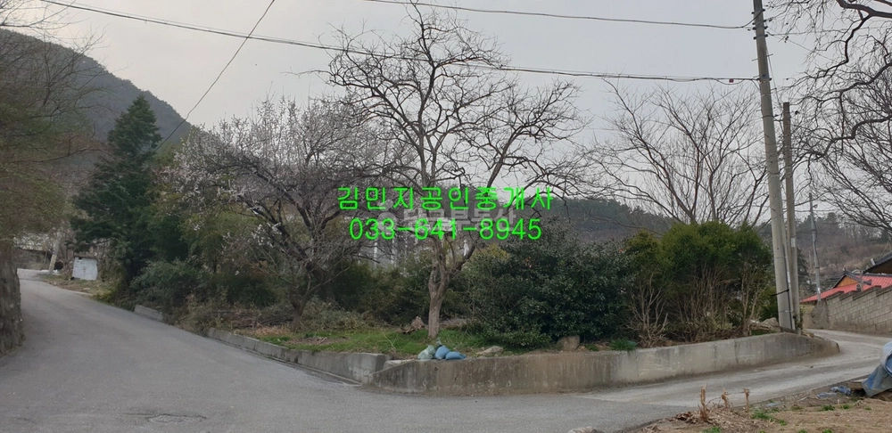 강원특별자치도 강릉시 성산면 단독/전원주택 사진 1