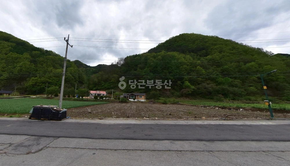 충청북도 단양군 영춘면 토지 사진 1