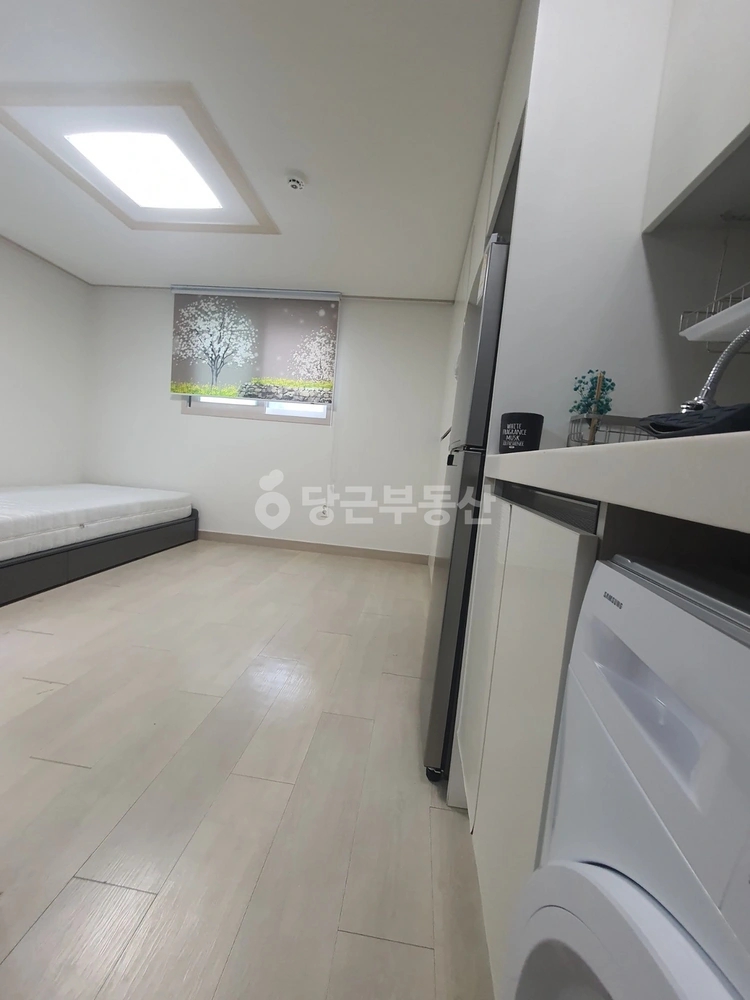 부산광역시 수영구 광안동 원룸 사진 1