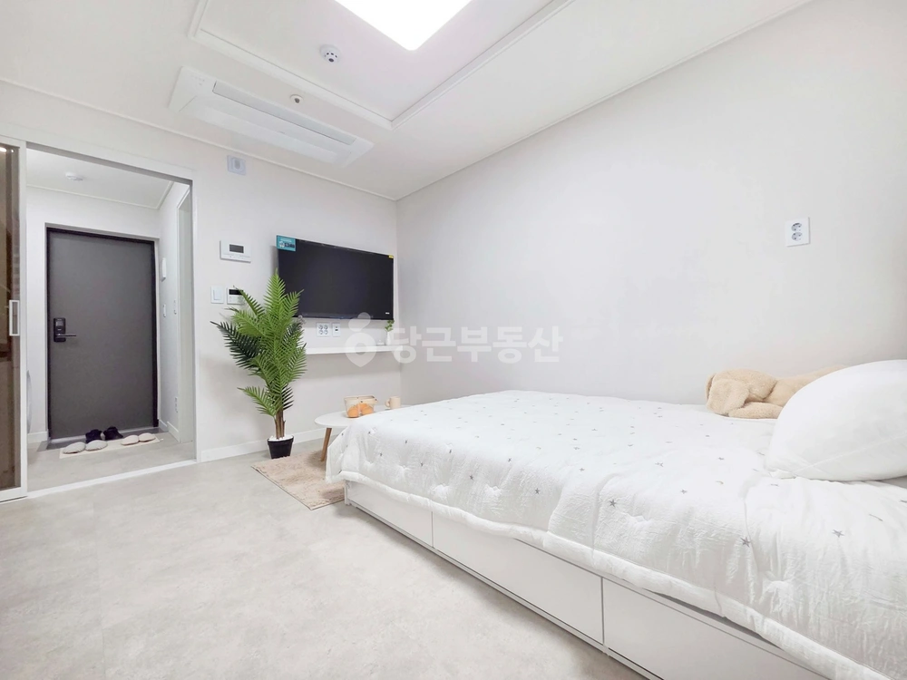 대전광역시 서구 갈마동 원룸 사진 1