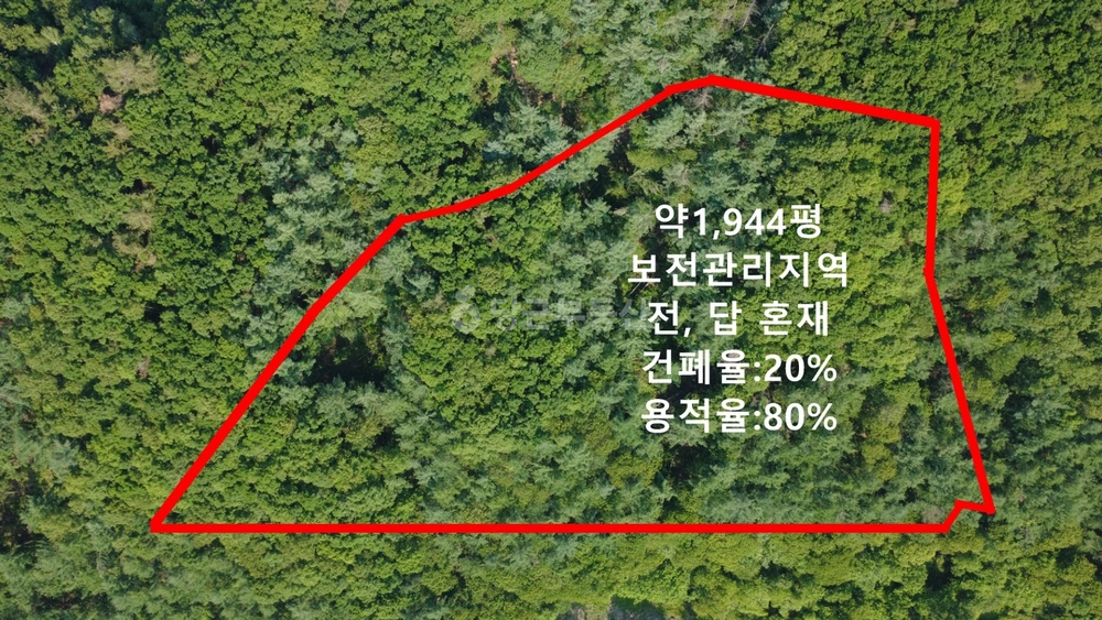 경기도 양평군 양동면 토지 사진 1