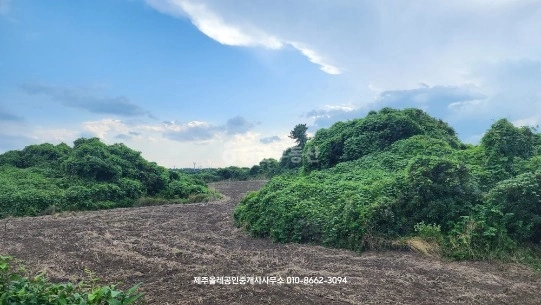 제주특별자치도 서귀포시 표선면 토지 사진 1