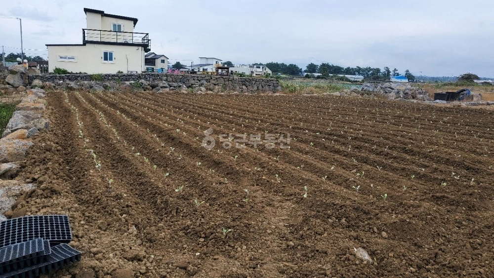 제주특별자치도 제주시 한경면 토지 사진 1