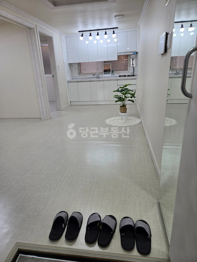 인천광역시 미추홀구 주안동 빌라(투룸 이상) 사진 1