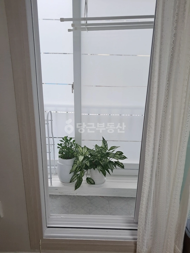 경상북도 포항시 북구 용흥동 아파트 사진 1